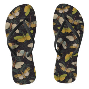 Lanternflies - Pyrops Candelaria & Other Planthopp Thongs
