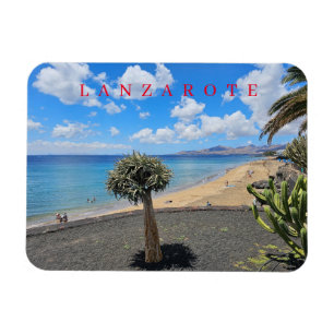 Lanzarote beach and clouds view magnet