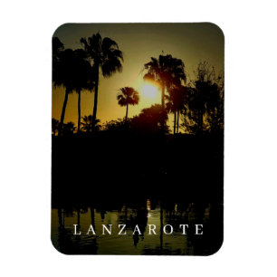 Lanzarote palms trees at sunset fridge magnet