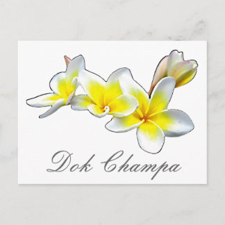 LAO FLOWER DOK CHAMPA - PLUMERIA RUBRA POSTCARD