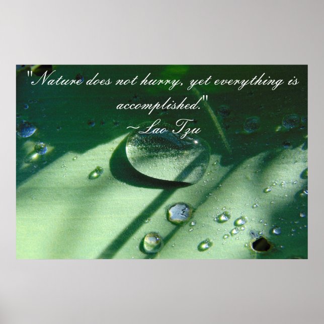 Lao Tzu Nature Quote Poster (Front)
