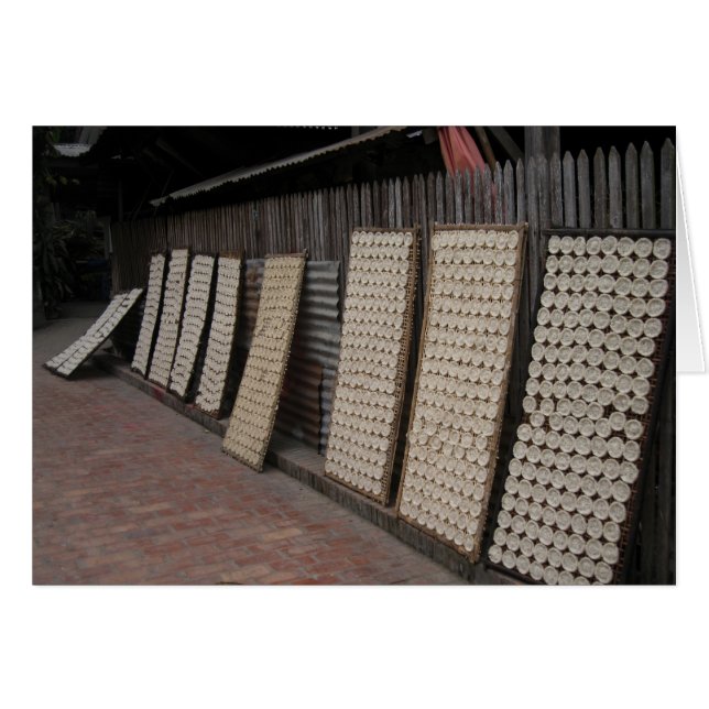 Laotian Rice Field (Front Horizontal)