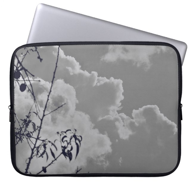 LAP TOP CASE (Front)