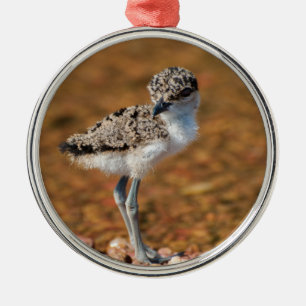Lapidwing Chick Metal Ornament