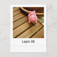 Lapin 06