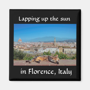 Lapping up the sun in Florence, Italy magnet