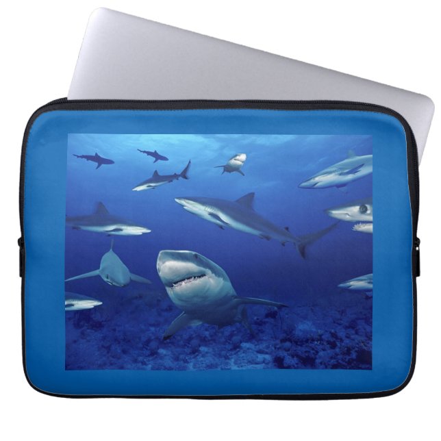 Laptop Case 13" (Front)