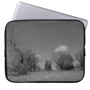 LAPTOP CASE Electronics Bag ART AND DESIGN