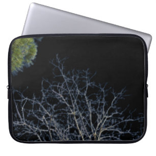LAPTOP CASE Electronics Bag  ART AND DESIGN