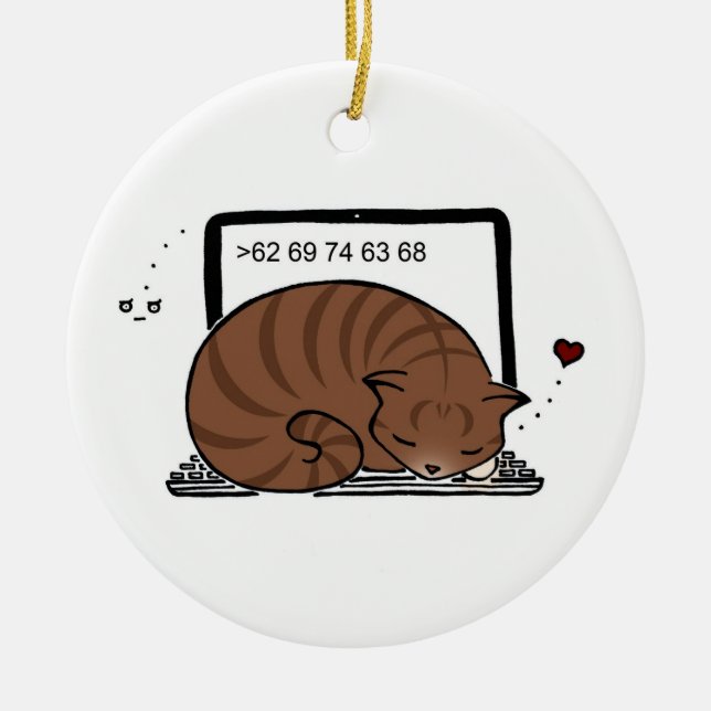 Laptop Cat Bed (Brown Tabby) Ornament (Front)