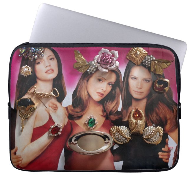 Laptop Protections Laptop Sleeve (Front)