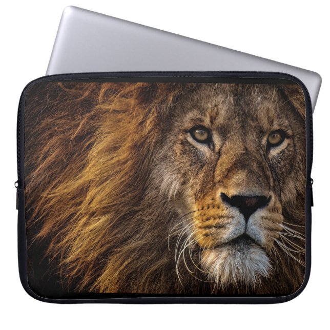 Laptop Sleeve (Front)