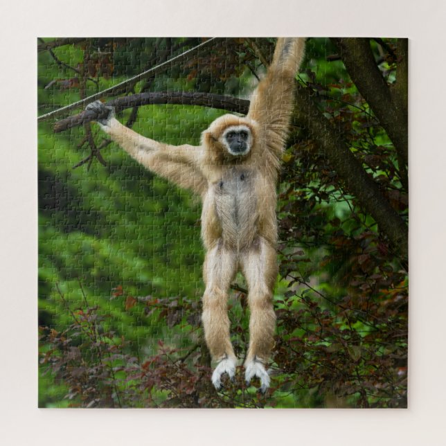 Lar Gibbon Hanging From The Tree Jigsaw Puzzle (Vertical)