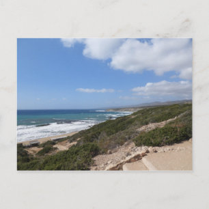 Lara beach, Paphos, Cyprus Postcard