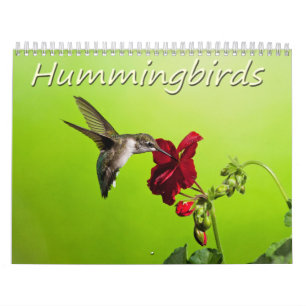 Lara Ellis Photography Hummingbirds Calendar