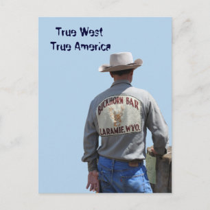 Laramie Wyoming Cowboy Postcard