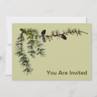 Larch Branch