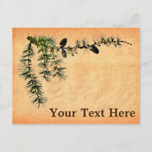 Larch Branch Postcard