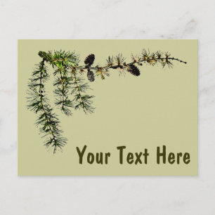 Larch Branch Postcard