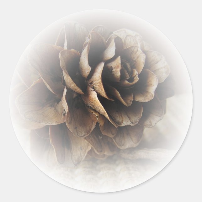 Larch Cone Classic Round Sticker (Front)
