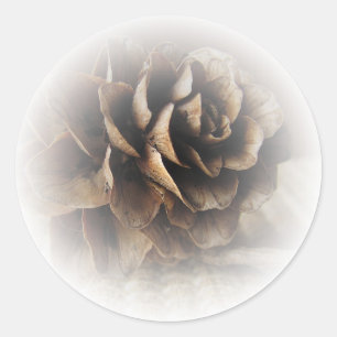 Larch Cone Classic Round Sticker