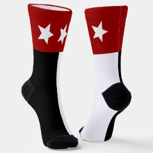 Laredo (Texas) city flag Socks