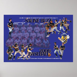 Large 2006 Saline Buzz Poster