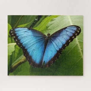Large 520p 16 x 20 butterfly photo puzzle gift box