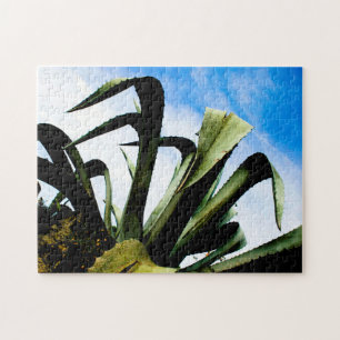 Large Aloe Plant with Blue Sky Jigsaw Puzzle