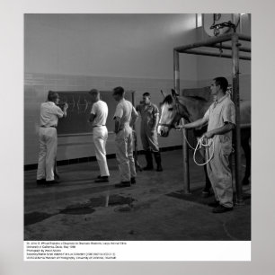 Large Animal Clinic, UC Davis, 1966 Poster