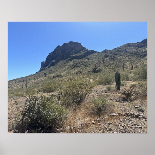 Large Arizona Desert Picacho Peak State Park Poster (Front)