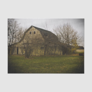 Large Bare Barn Surrounded by Large Bare Trees Tissue Paper