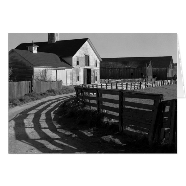 Large Barn and Road, March 1966 (Front Horizontal)