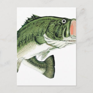 Large Big Mouth Bass Postcard
