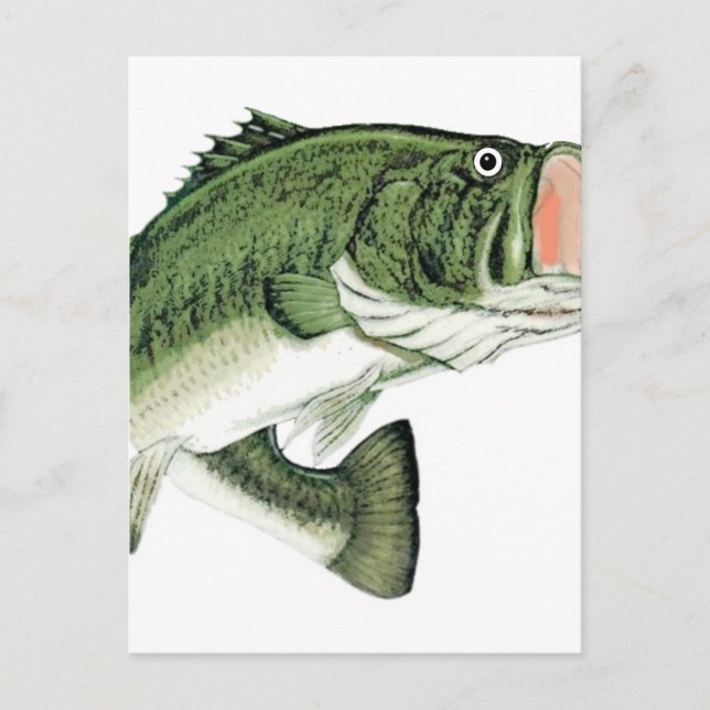 Large Big Mouth Bass Postcard (Front)