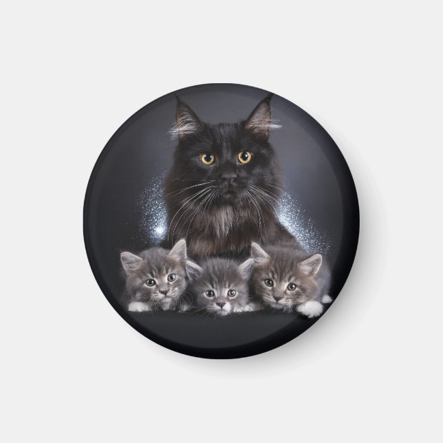 Large Black Cat And Her 3 Kittens Pose For Us Magnet (Front)