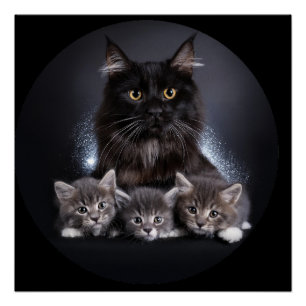 Large Black Cat And Her 3 Kittens Pose For Us Poster
