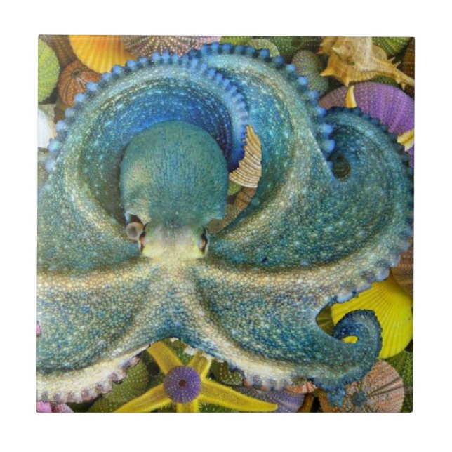 Large Blue Octopus Tile (Front)