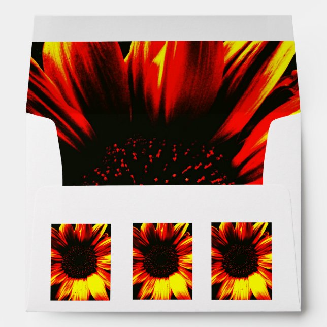 large bright yellow sunflower envelopes (Back (Bottom))