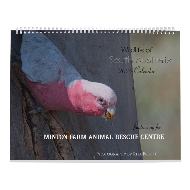 large calender 24 calendar (Cover)