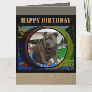 Large Card   Staffordshire Bull Terrier Birthday