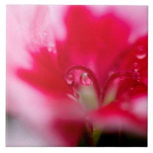 Large Ceramic Photo Tile "Caught"