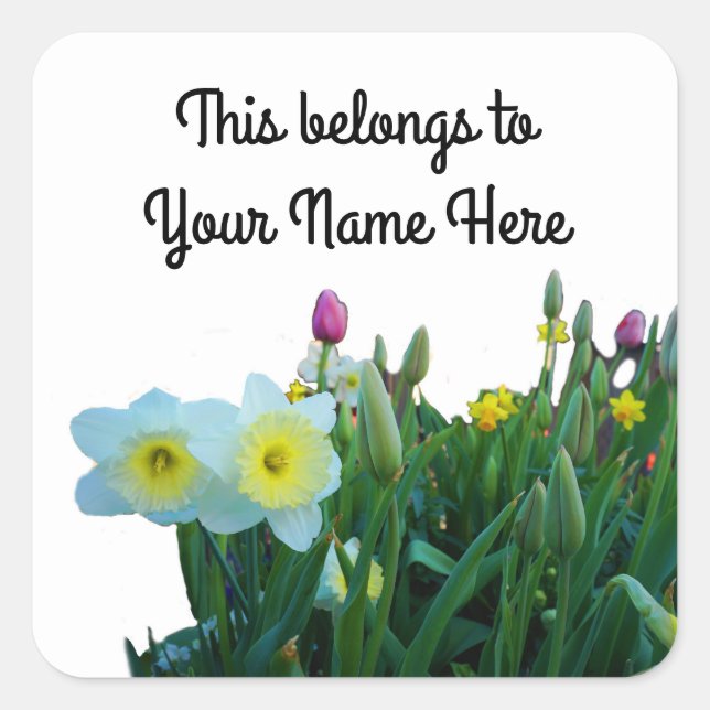 Large-Cupped Daffodil #2 Stickers (Front)