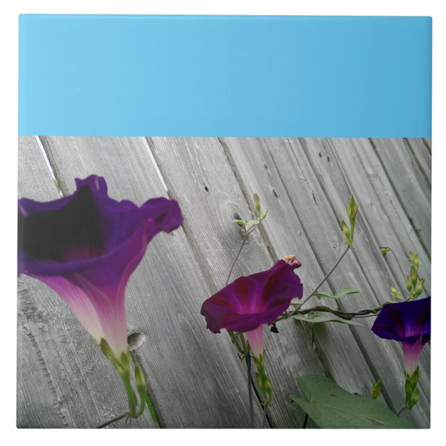 Large, Decorative Ceramic Tile (Front)