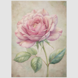 Large Distressed Pink Rose Ephemera Decoupage Tissue Paper