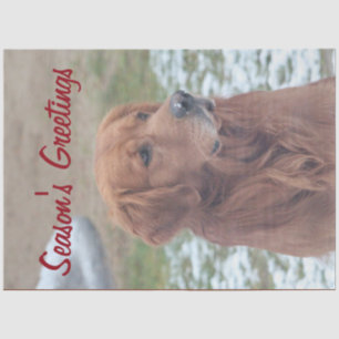 Large Dog Season's Greetings Tissue Paper