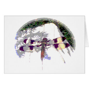 Large Dragonfly