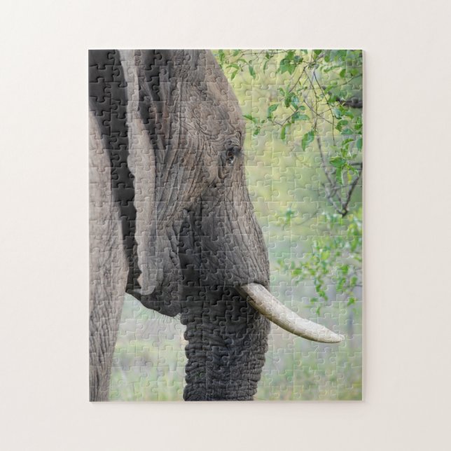 Large Exotic African Grey Elephant Jigsaw Puzzle (Vertical)