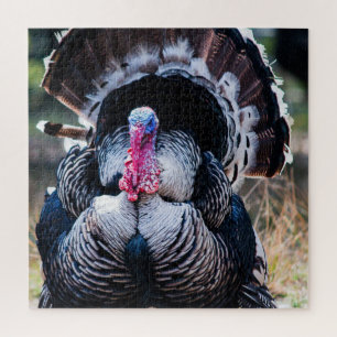 Large Festive Thanksgiving Turkey Jigsaw Puzzle