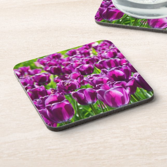 Large field of purple tulips  coaster (Left Side)